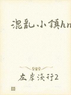 混乱小镇hnp