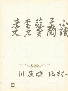 老李苏柔小说全文免费阅读