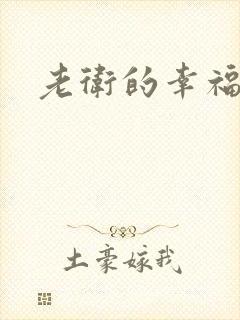 老卫的幸福生活封面