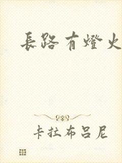 长路有灯火封面
