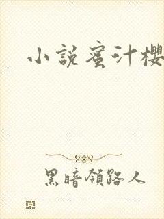 小说蜜汁樱桃