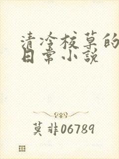清冷校草的堕落日常小说