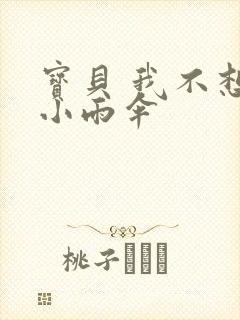 宝贝 我不想带小雨伞