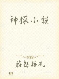 神探小说封面