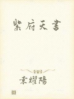 紫府天书