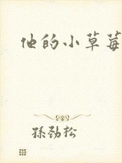 他的小草莓封面