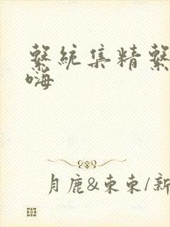 系统集精系统高嗨
