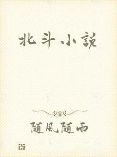 北斗小说