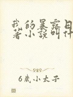 我的暴露日记原著小说叫什么