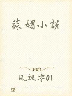 苏媚小说