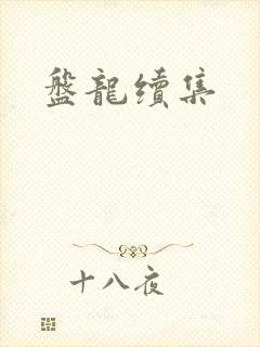 盘龙续集