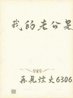 我的老公是军阀