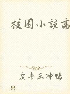 校园小说高h