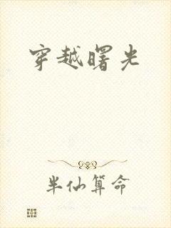 穿越曙光封面