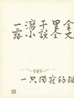 一泻千里金银花露小说全文免费阅读