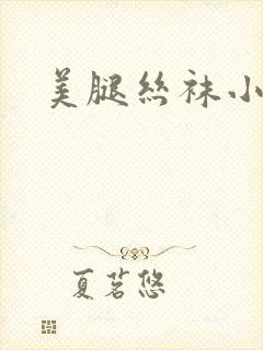 美腿丝袜小说