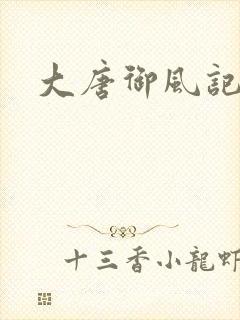 大唐御风记