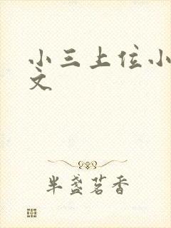 小三上位小说全文封面