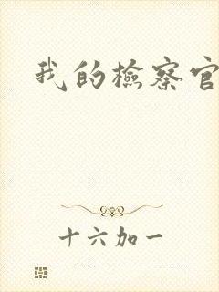 我的检察官先生