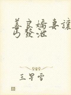 善良娇妻让老乞丐发泄封面