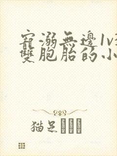 宠溺无边1v3双胞胎的小说