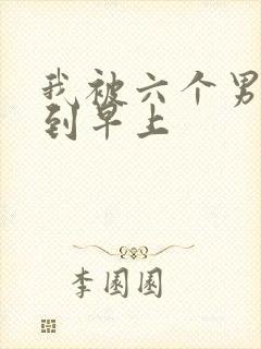 我被六个男人躁到早上封面