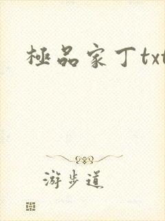 极品家丁txt