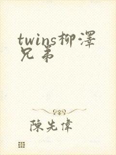 twins柳泽兄弟