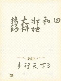 杨大壮和田桂花的耕地