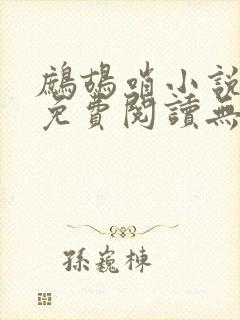 鹧鸪哨小说网站免费阅读无弹窗封面