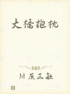 大桥抱枕