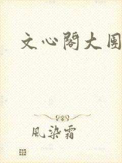 文心阁大团结封面