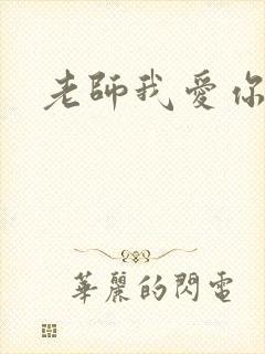 老师我爱你封面