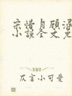 宋惜月顾浔渊的小说全文免费阅读