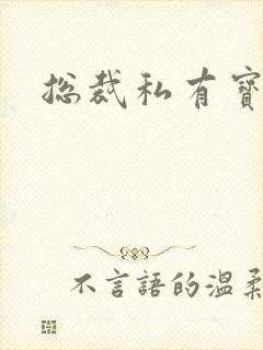 总裁私有宝贝