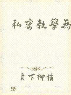 私密教学无删减