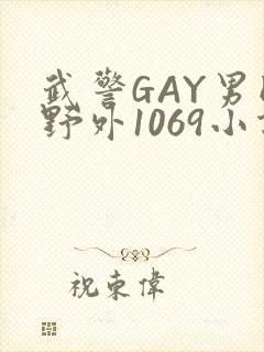 武警GAY男同野外1069小说封面