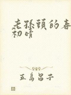 老孙头的春天林初晴