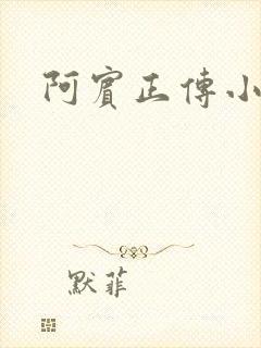 阿宾正传小说