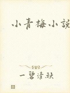 小青梅小说