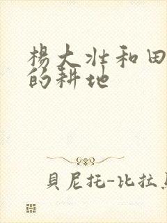 杨大壮和田桂花的耕地