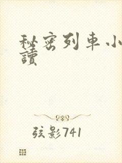 秘密列车小说阅读