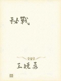 秘战
