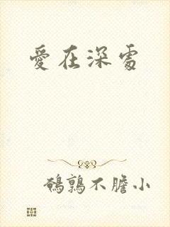 爱在深处封面