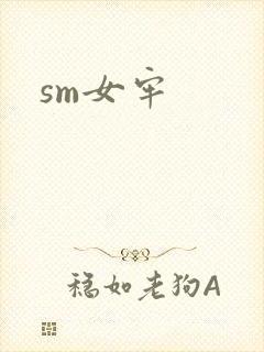 sm女牢封面