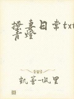 撩妻日常txt青灯