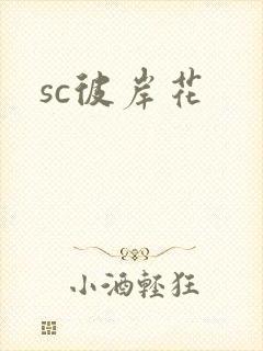 sc彼岸花
