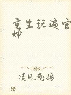 重生玩遍官场贵妇