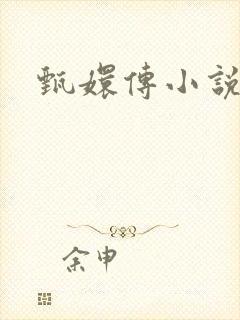 甄嬛传小说封面