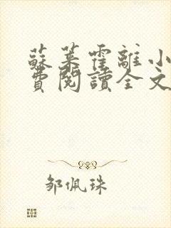 苏莱霍离小说免费阅读全文封面